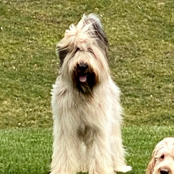 Meet your Posher, Anna - Picture 1 of 1